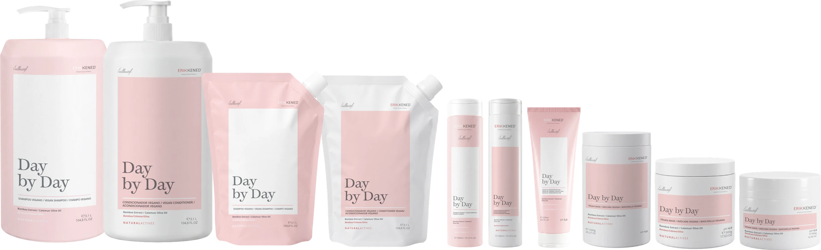 Day by Day — Uso Diário 3 em 1